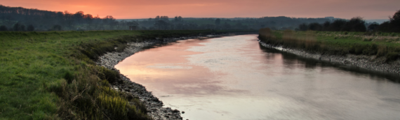 The Quiet Season of Loss