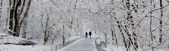 January Did Not Begin with a Bang